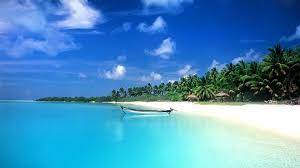 Hot Beach Wallpapers Hd Wallpaper Beach Background Beach Wallpaper Beautiful Beaches