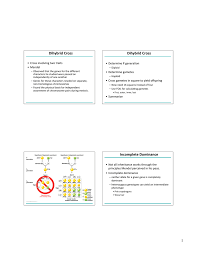 A dihybrid cross involves two traits, such as color and size. 1 Dihybrid Cross Dihybrid Cross Incomplete Dominance