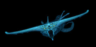 May 12, 2021 · experience subnautica like never before! Ghost Leviathan Render Subnautica Leviathan Subnautica Creatures Subnautica Concept Art