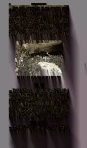 Millers Asheville (Buncombe County, N.C.) City Directory [1950]