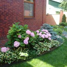 Maybe you would like to learn more about one of these? Hortensien Und Hostas My Blog Front House Landscaping Front Yard Garden Front Yard Landscaping Design