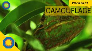 Camouflage Meaning Vocabact Nutspace Youtube