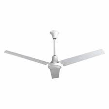 A case in point is a hugger mount high cfm ceiling fan, perfect for low ceilings. Ves Light Duty Indoor Outdoor Industrial Ceiling Fan 5 Ft Number Of Blades 3 488v24 Indb60mr4lp Grainger