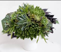 Florist Forest Hill Toronto On Toronto Best Florist Flower Shop Delivery The Chocolate Tulip