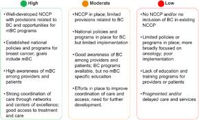 Whether you or someone you love has cancer, knowing what to expect can help you cope. Global Analysis Of Metastatic Breast Cancer Policy Gaps And Advocacy Efforts Across The Patient Journey Sciencedirect