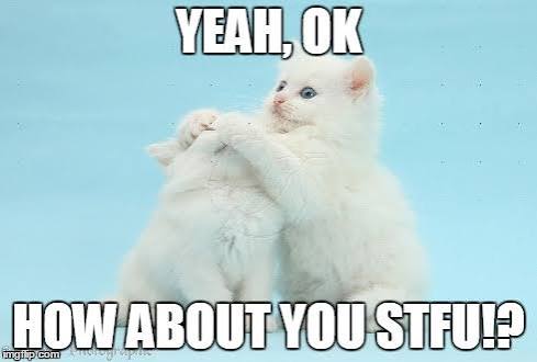 Image tagged in stfu,cats - Imgflip