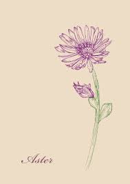 Aster One Of Wild Flowers In 2020 Aster Flower Tattoos Birth Flower Tattoos Flower Tattoo Sleeve