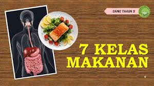 Didalam piramid makanan malaysia, aras manakah yang disarankan untuk dimakan dengan kadar yang paling sedikit sekali? Unit 3 Kelas Makanan Sains Tahun 3 Youtube