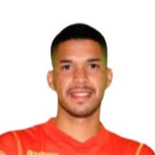 Estadísticas Yunior Peralta, Cibao