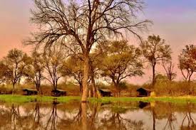Maybe you would like to learn more about one of these? Moremi Game Reserve Lodges Karte Bilder Empfehlungen Tipps Madiba De