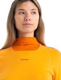 Icebreaker 200 Sonebula Shirt Earth/Sun/Electrnpnk L : Amazon.nl: Fashion