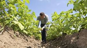 02 47 29 00 07. Les Jardins De Meslay Terroir De Touraine