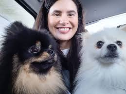 Dallas The Pampered Pom