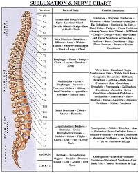 Hand Nerve Chart Trouble Reading The Above Chart Vertabral