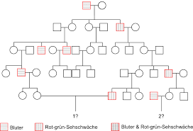 Dabei wird ausschließlich das wissen über die merkmale. Freies Lehrbuch Biologie 08 16 Erbkrankheiten Ii