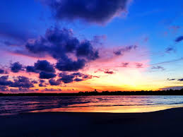 Hike or bike along the trails that wind around the island and through. Visit Kiawah Island 2021 Travel Guide For Kiawah Island Charleston Expedia