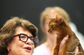 Palmerston North Cat Club Show 4th May 2025 Ring 1