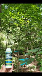 Profile for Anthony McAdams Outdoors