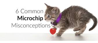 However, it is possible to microchip a dog for as little as $5. 6 Common Microchip Misconceptions Learn More On Litter Robot Blog