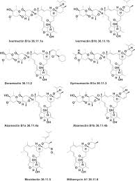 Ivermectin An Overview Sciencedirect Topics