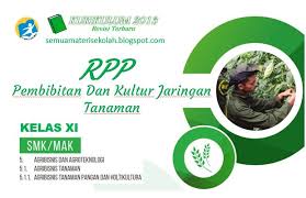 Maybe you would like to learn more about one of these? Rpp Pembibitan Dan Kultur Jaringan Tanaman Kelas Xi Smk Kurikulum 2013 Revisi 2018 Kurikulum 2013