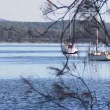 **breaking news** a 38 year old man has been attacked by a shark at lighthouse beach south of port macquarie. Ale Ts58qzm4qm