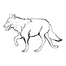 Wolf's father is the leader in the group. Online Coloring Pages Coloring Page Wolf Wild Animals Download Print Coloring Page