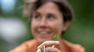 Caroline Shaw lauloi Meidän Festivaaleilla