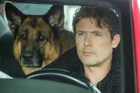 Woooooow 👏 Video @bondarev001