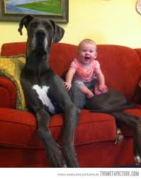 images?q=tbn:ANd9GcQDdgFvLfs0RLRw3utAKCDeOpRa37ldsIdwpsqOrsqakL7p9Qe_