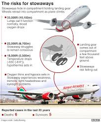 See 100 traveler reviews, 55 candid photos, and great deals for stowaway, ranked #2 of 61 b&bs / inns in provincetown and rated 5 of 5 at tripadvisor. Kenya Stowaway May Have Been Airport Worker Bbc News