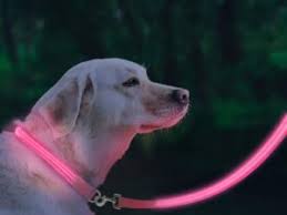 The 25 Best Led Dog Leashes Of 2020 Pet Life Today