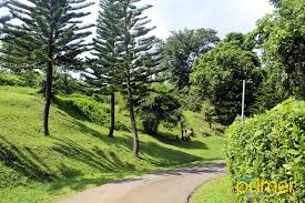 Look for the farm's quaint shop left side emilio aguinaldo highway going to tagaytay. The Dining Room At Gourmet Farms In Silang Cavite Foodies Destination For Organic And Healthy Eats Philippine Primer