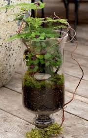 Le Terrarium De Printemps Un Morceau De Nature A La Maison Garden Terrarium Plants Terrarium