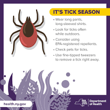 Image result for infected tick bite