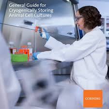 We did not find results for: We Get You General Guide For Cryogenically Storing Animal Cell Cultures Corning Life Sciences