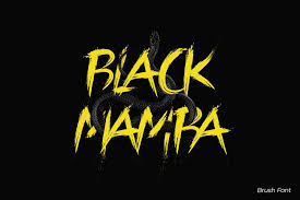 The time is now 14:10. Black Mamba Vol 1 Brush Font Black Mamba Brush Font Mamba