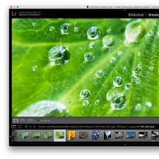 Yes, lightroom lets you download the trial version on the mobile devices. Lightroom Free Alternative Mac Lightroom Everywhere