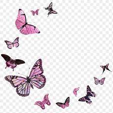 Pink Butterfly Border Design Element Premium Image By Rawpixel Com Techi Pink Butterfly Design Element Border Design