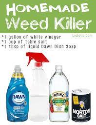 Pin On Gardening