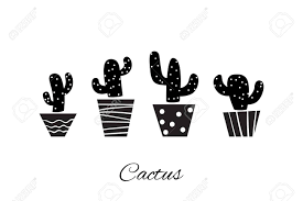 The black and white cactus mural helps you create enjoyable atmospheres in any of your spaces. Black And White Cactuses Vector Image Cute Graphic Print Royalty Free Cliparts Vectors And Stock Illustration Image 76988059