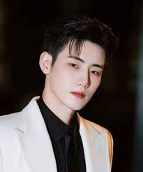 Wang Kai (หวังข่าย)