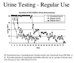 Marijuana Drug Test Detection Times Canorml
