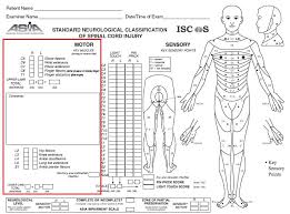 Maybe you would like to learn more about one of these? Myotomes Development Distribution Teachmeanatomy