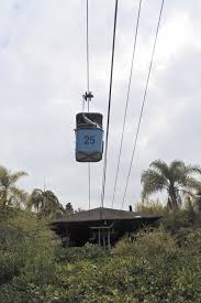 Maybe you would like to learn more about one of these? Visiting The San Diego Zoo Smart Mouse Travel