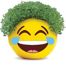 Emoji Tears of Joy Chia Pet® – Chia.com