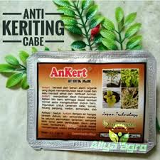 Tidak mau lagi mencoba eksperimen sop tomat atau roti lapis tomat dan selai kacang? Obat Pertanian Anti Keriting Untuk Tanaman Cabe Shopee Indonesia