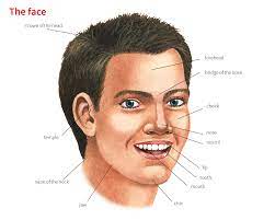 Injuries, infections, and underlying health issues can all cause swelling in one or both cheeks. Cheek Bio Net Worth Age Birthday Dating Wiki
