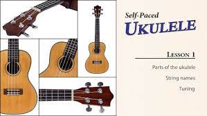 Not only this, using descalers will likely lengthen the lifespan of your coffee machine, (please make sure you use the correct manufacturer products. Learn Numbers And Names Of Ukulele Strings Ukulele Sisters Youtube