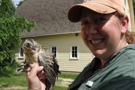 Wildlife Vocalizations Archives